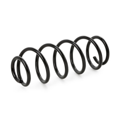Fahrwerksfeder RIDEX 188C0501 188C0501 - foto 6