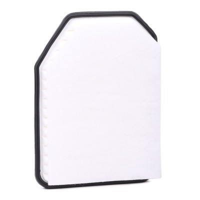 Luftfilter RIDEX 8A0455 8A0455 - foto 2