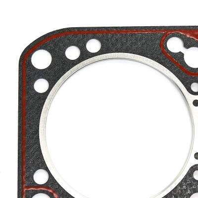 Zylinderkopfdichtung RIDEX 318G0002 318G0002 - foto 4