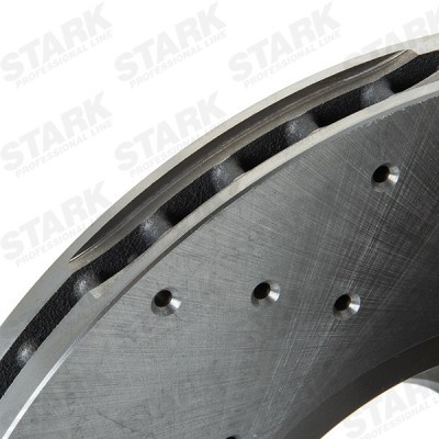 Bremsscheibe Stark SKBD-0024231 SKBD-0024231 - foto 7
