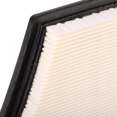 Luftfilter RIDEX 8A0365 8A0365 - foto 5