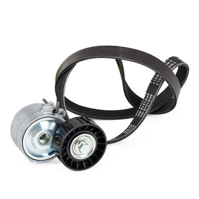 Mehrrippiger Keilriemen Set RIDEX 542R0189P 542R0189P - foto 3