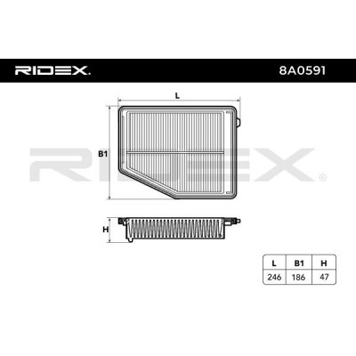 Luftfilter RIDEX 8A0591 8A0591 - foto 6