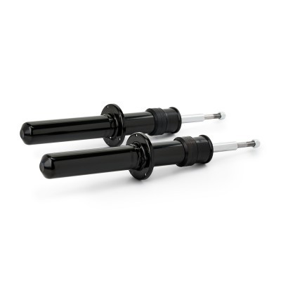 Stoßdämpfer RIDEX 854S18101 854S18101 - foto 4
