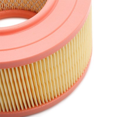 Luftfilter RIDEX 8A0542 8A0542 - foto 5