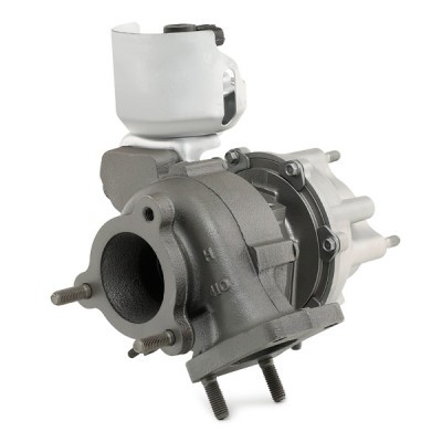 Turbolader RIDEX 2234C10281R 2234C10281R - foto 11