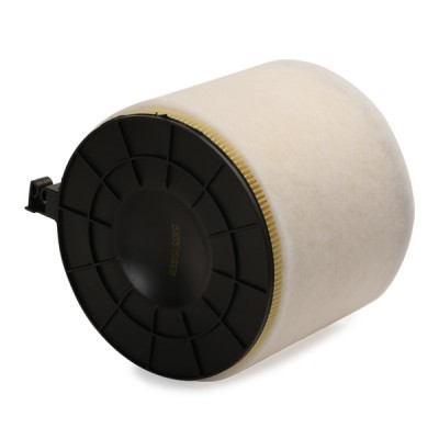 Luftfilter RIDEX 8A0812 8A0812 - foto 4