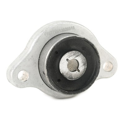 Querlenkerlager Buchse RIDEX 251T0509 251T0509 - foto 3