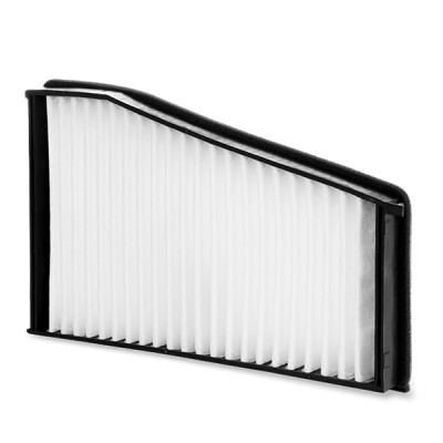 Filter, Innenraumluft RIDEX 424I0173 424I0173 - foto 2