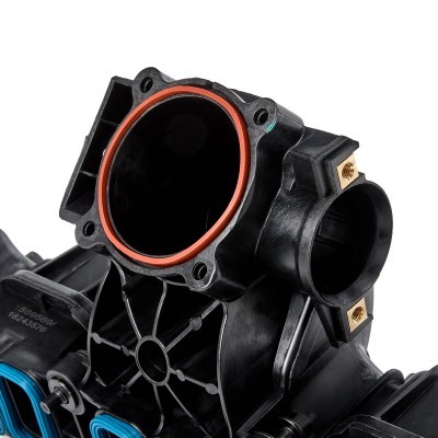Ansaugkrümmer RIDEX 1640F0072 1640F0072 - foto 6