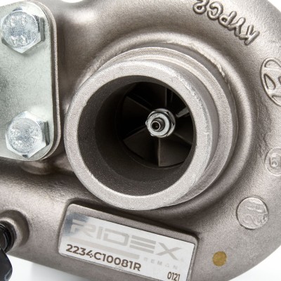 Turbolader RIDEX 2234C10081R 2234C10081R - foto 5