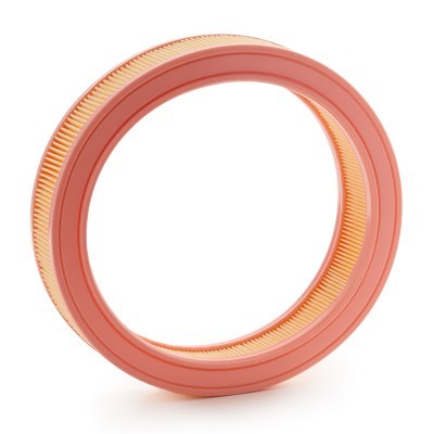 Luftfilter RIDEX 8A0972 8A0972 - foto 4