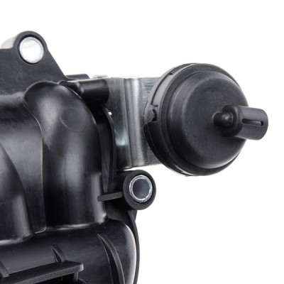Ansaugkrümmer RIDEX 1640F0038 1640F0038 - foto 5