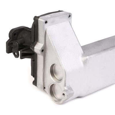 AGR-Modul RIDEX 4198E0009R 4198E0009R - foto 7