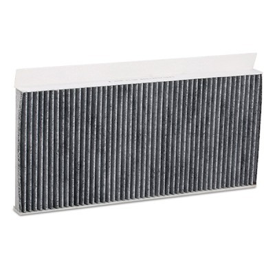 Filter, Innenraumluft RIDEX 424I0248 424I0248 - foto 4