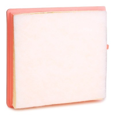 Luftfilter RIDEX 8A0739 8A0739 - foto 4