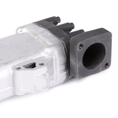 AGR-Modul RIDEX 4198E0011R 4198E0011R - foto 6
