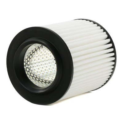 Luftfilter RIDEX 8A0607 8A0607 - foto 4