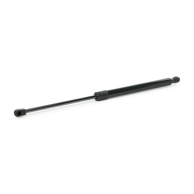 Gasfeder, Koffer-/Laderaum RIDEX 219G0048 219G0048 - foto 9