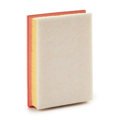 Luftfilter RIDEX 8A1814 8A1814 - foto 3