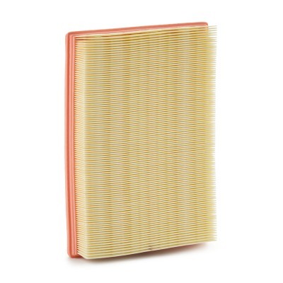 Luftfilter RIDEX 8A1761 8A1761 - foto 3