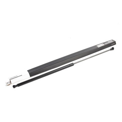 Gasfeder, Motorhaube RIDEX 514G0102 514G0102 - foto 2