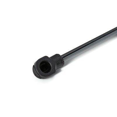 Gasfeder, Motorhaube RIDEX 514G0019 514G0019 - foto 6