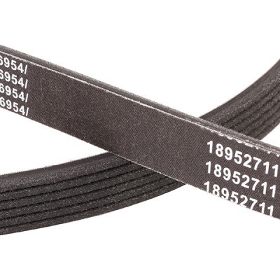 Keilrippenriemen RIDEX 305P0250P 305P0250P - foto 5