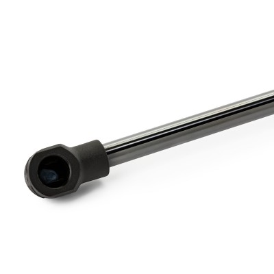 Gasfeder, Koffer-/Laderaum RIDEX 219G0468 219G0468 - foto 7