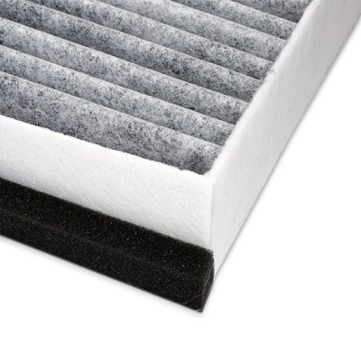 Filter, Innenraumluft RIDEX 424I0257 424I0257 - foto 6