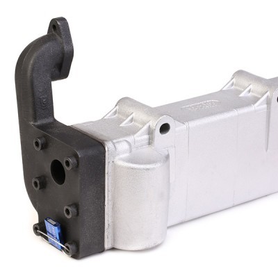 AGR-Modul RIDEX 4198E0009R 4198E0009R - foto 5