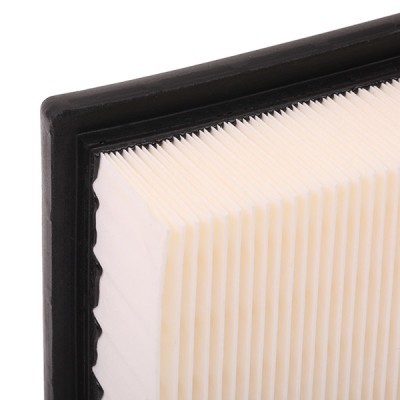 Luftfilter RIDEX 8A0064 8A0064 - foto 6