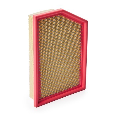 Luftfilter RIDEX 8A1118 8A1118 - foto 3