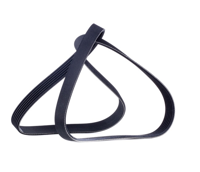 Keilrippenriemen RIDEX 305P0135 305P0135 - foto 1