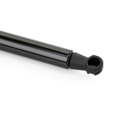 Gasfeder, Motorhaube RIDEX 514G0030 514G0030 - foto 6