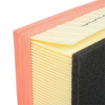 Luftfilter RIDEX 8A1646 8A1646 - foto 5