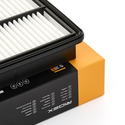 Luftfilter RIDEX 8A1689 8A1689 - foto 4