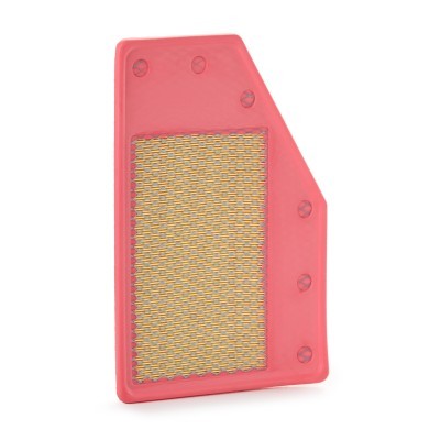 Luftfilter RIDEX 8A1176 8A1176 - foto 2