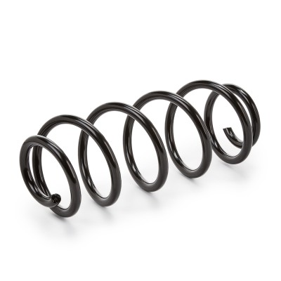 Fahrwerksfeder RIDEX 188C0065 188C0065 - foto 5