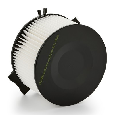 Filter, Innenraumluft RIDEX 424I0027P 424I0027P - foto 3