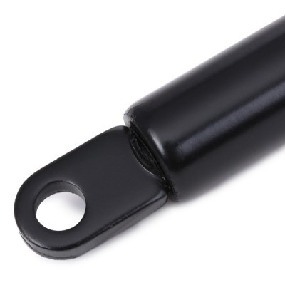 Gasfeder, Motorhaube RIDEX 514G0016 514G0016 - foto 5