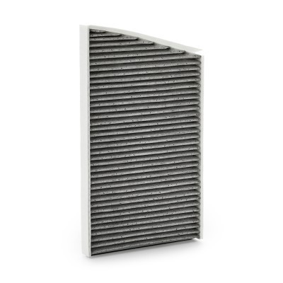 Filter, Innenraumluft RIDEX 424I0042P 424I0042P - foto 3