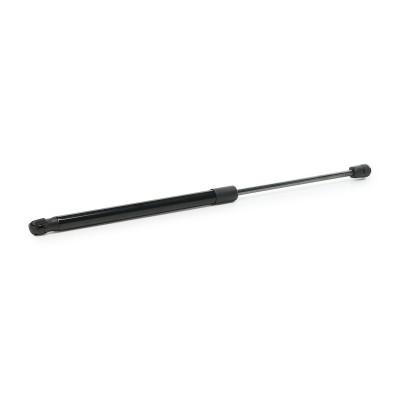 Gasfeder, Koffer-/Laderaum RIDEX 219G0313 219G0313 - foto 10
