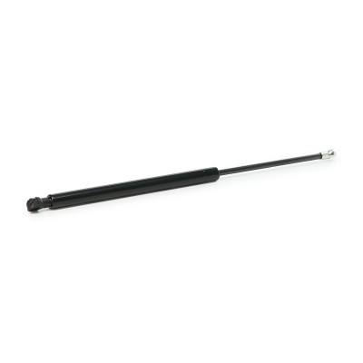 Gasfeder, Koffer-/Laderaum RIDEX 219G0552 219G0552 - foto 9