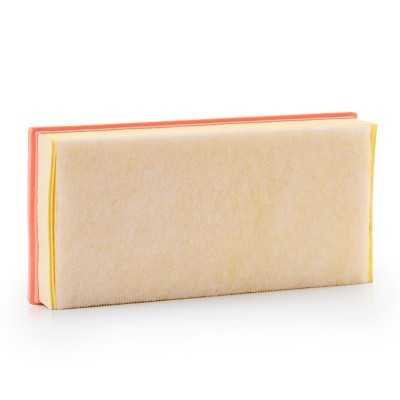 Luftfilter RIDEX 8A1613P 8A1613P - foto 4
