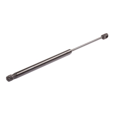 Gasfeder, Koffer-/Laderaum RIDEX 219G0197 219G0197 - foto 8