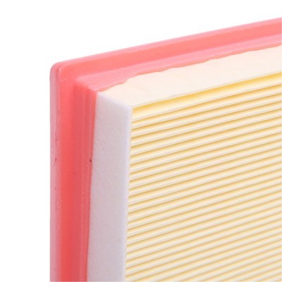 Luftfilter RIDEX 8A1198 8A1198 - foto 5
