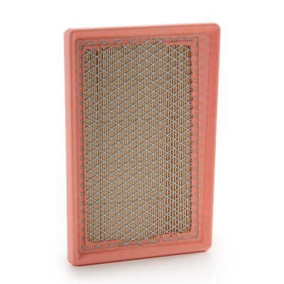 Luftfilter RIDEX 8A1660 8A1660 - foto 3