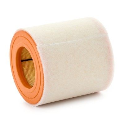 Luftfilter RIDEX 8A1791 8A1791 - foto 2