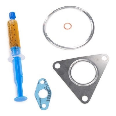 Turbolader RIDEX 2234C0219R 2234C0219R - foto 7